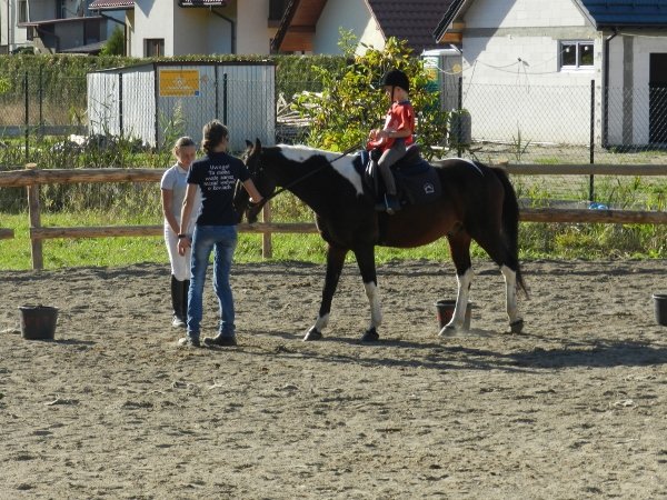 Babie Lato 2015